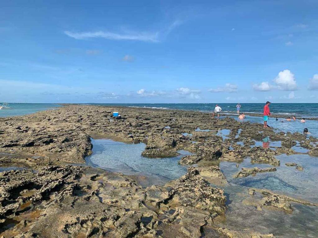 Chalé Chale Dos Carneiros Tamandaré